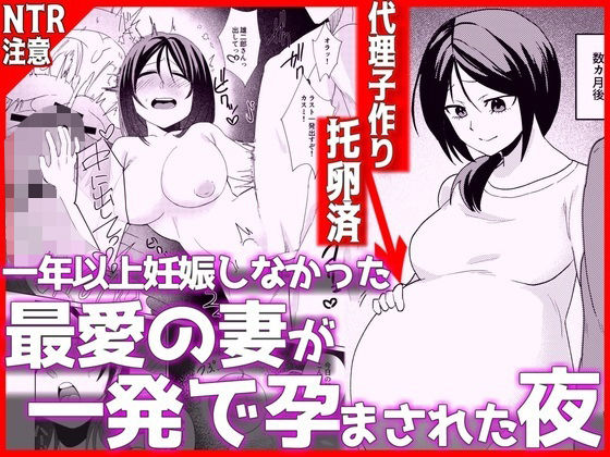 【一挙フル】1年以上妊娠しなかった最愛の妻が一発で孕まされた夜（raw）